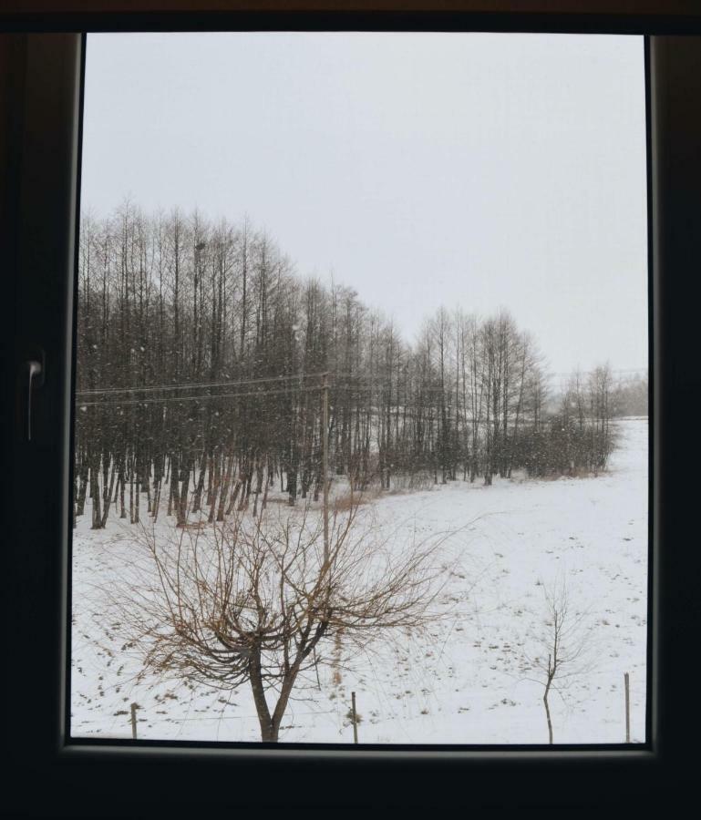 Eko Zagroda Bocianie Gniazdo Mikołajki Exteriér fotografie